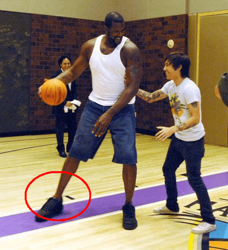 若选择单防 若选择单防